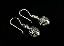 Load image into Gallery viewer, POD Earrings
