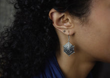 Load image into Gallery viewer, Trunkfish Earrings
