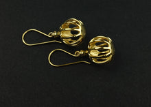 Load image into Gallery viewer, Foraminifera &#39;Pod&#39; Earrings
